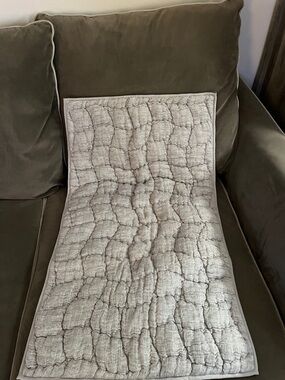 Pottery Barn Gray Quilted Cushion Pad